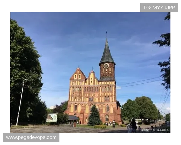 世界杯土耳其美国比赛城市全景：比赛场馆位置与观赛指南